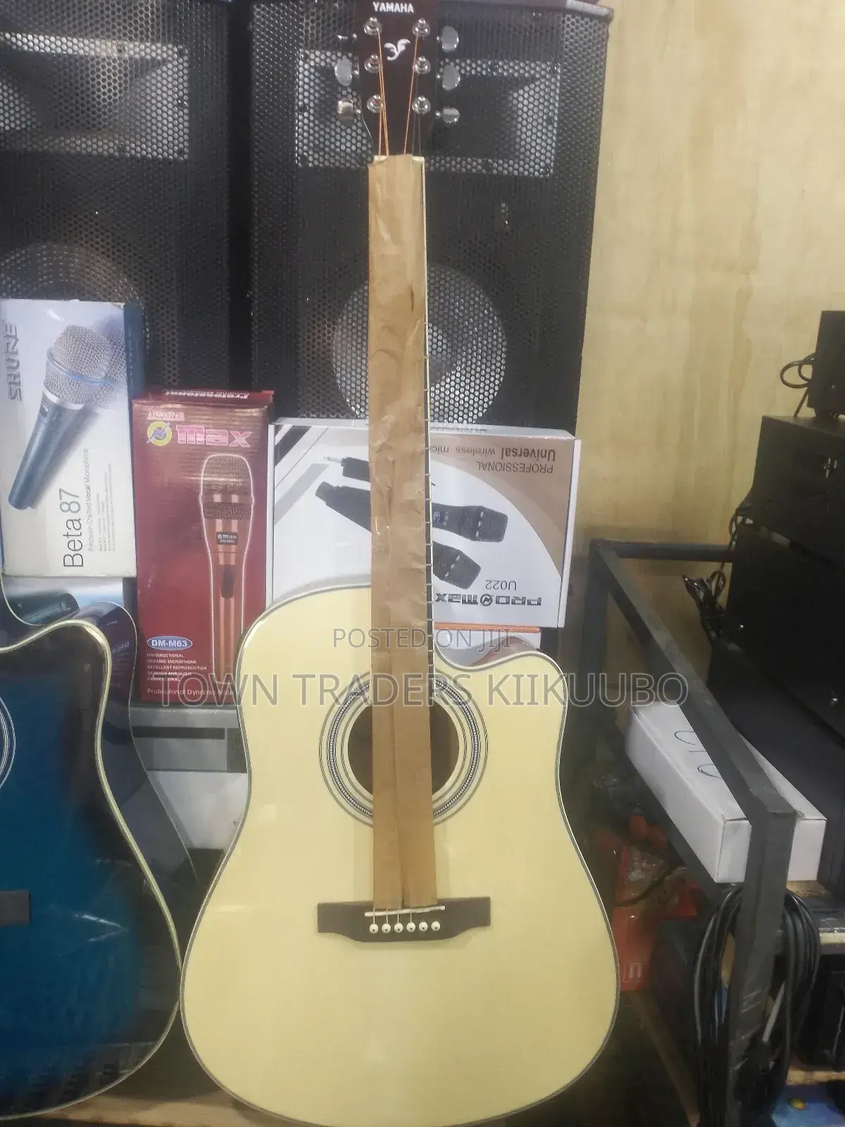 Acoustic Guitar
