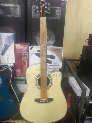 Acoustic Guitar