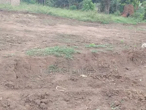 Plot for Sale