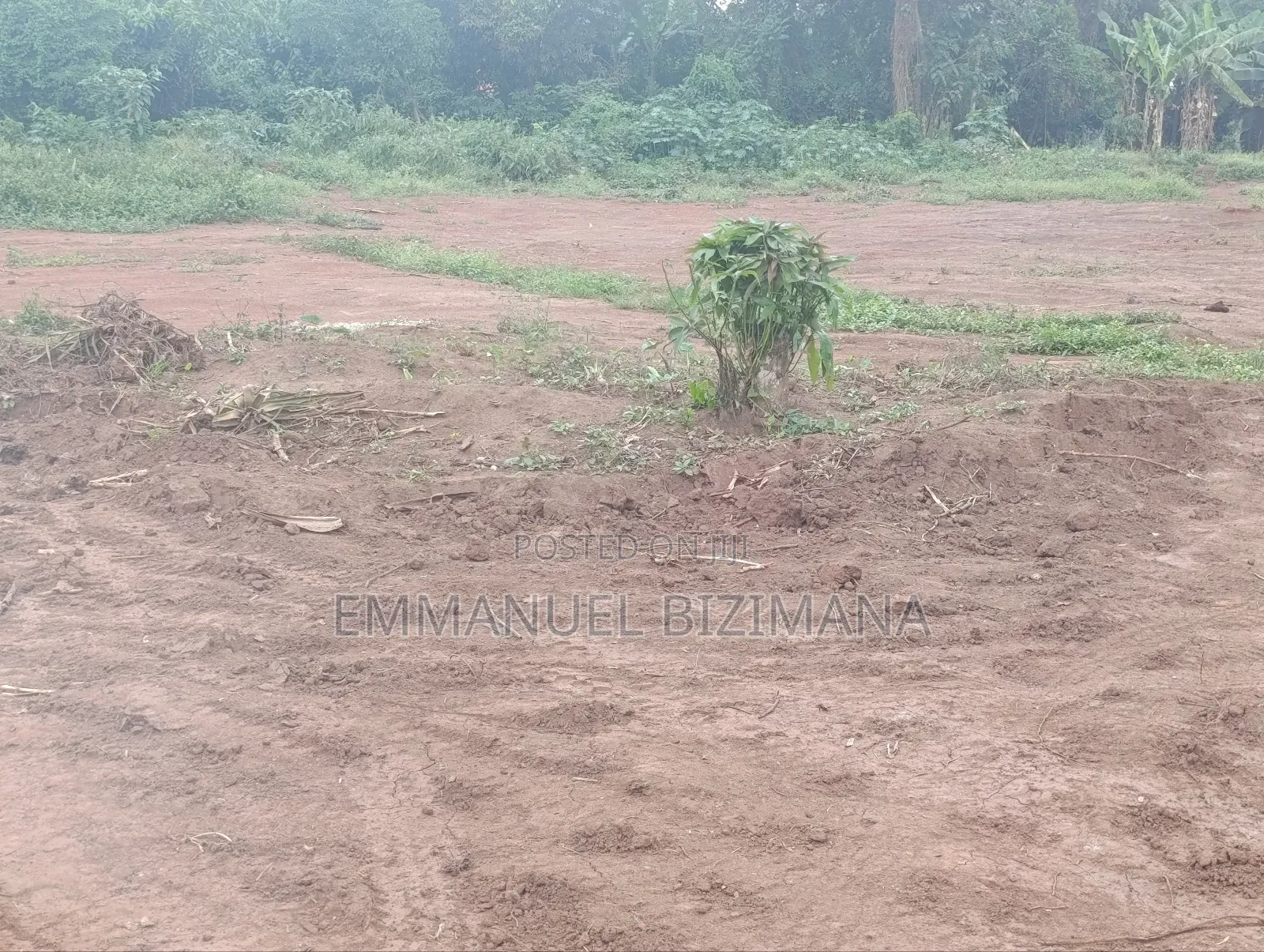 Plot for Sale