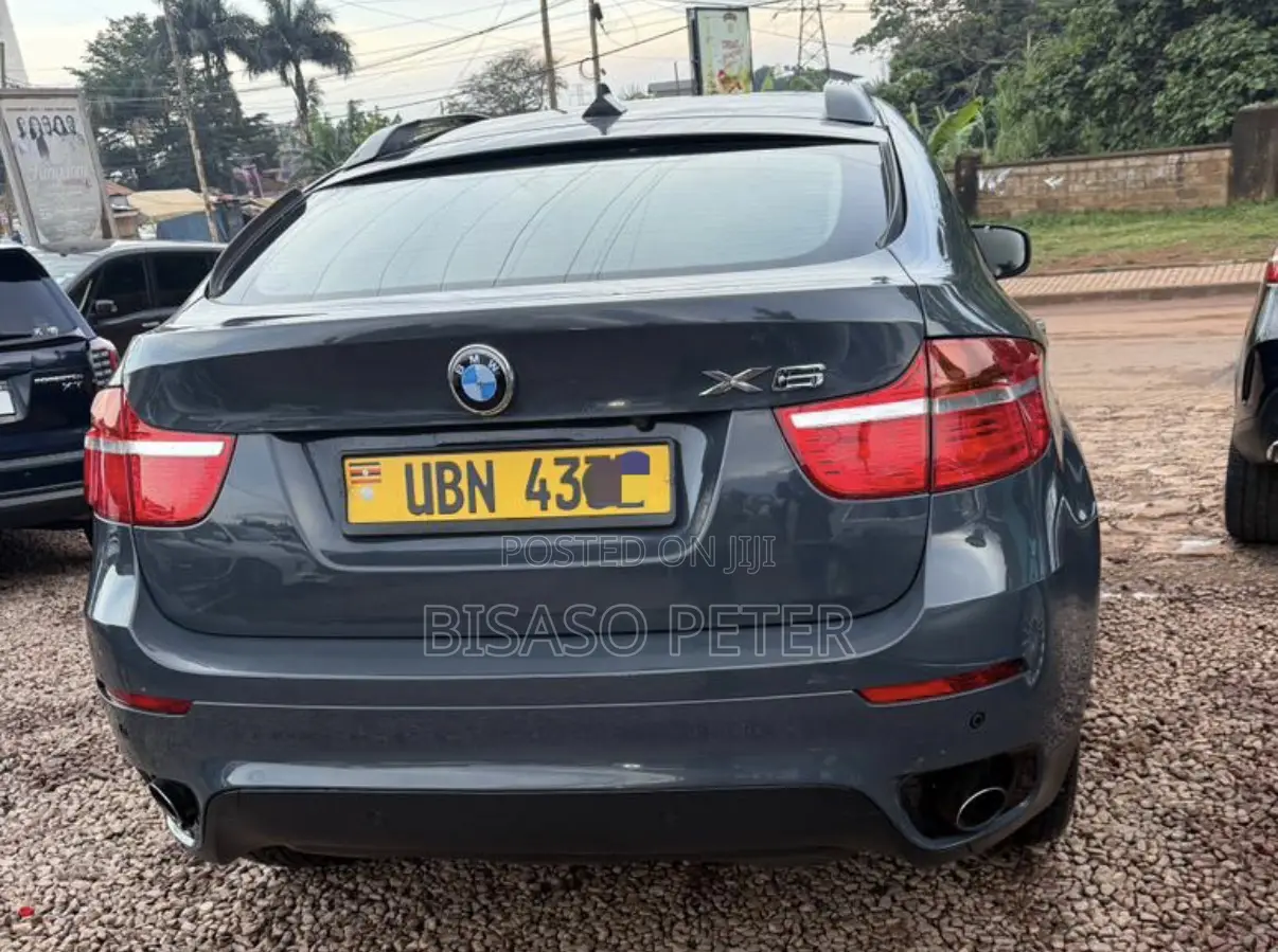 BMW X6 2010 Gray