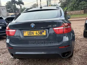 BMW X6 2010 Gray
