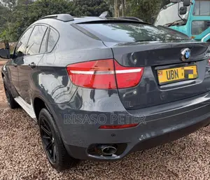 BMW X6 2010 Gray