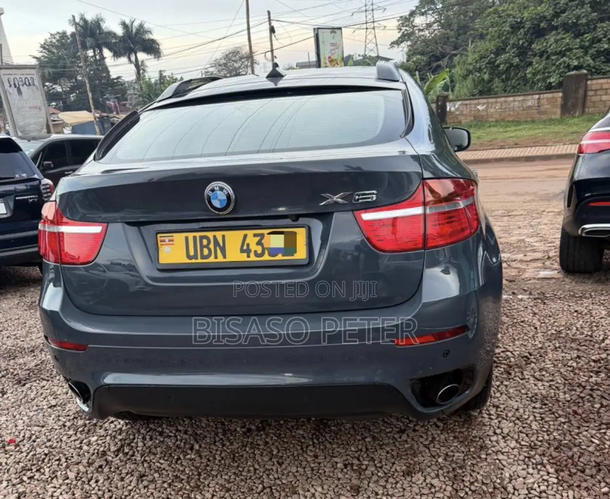 BMW X6 2010 Gray