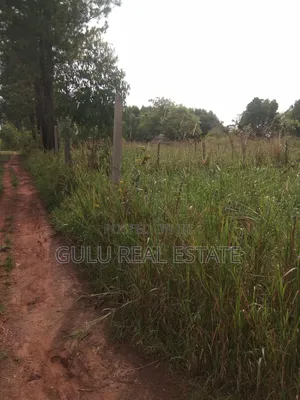 Land for Sale in Gulu Pageya