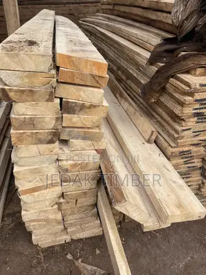 Timber Big and Small