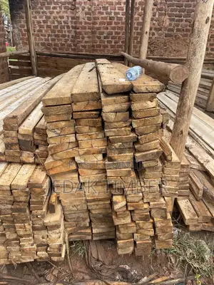 Timber Big and Small