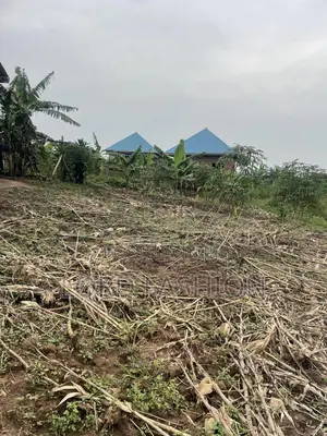 Plot 50 by 50 at Kakiri