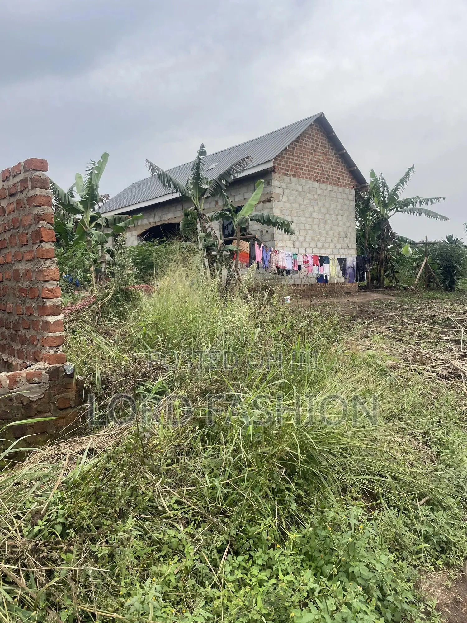 Plot 50 by 50 at Kakiri