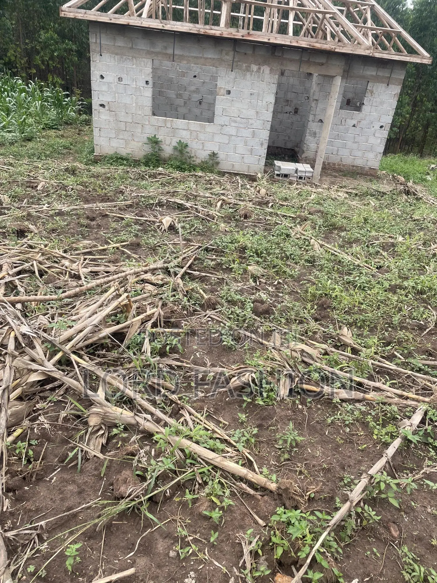 Plot 50 by 50 at Kakiri