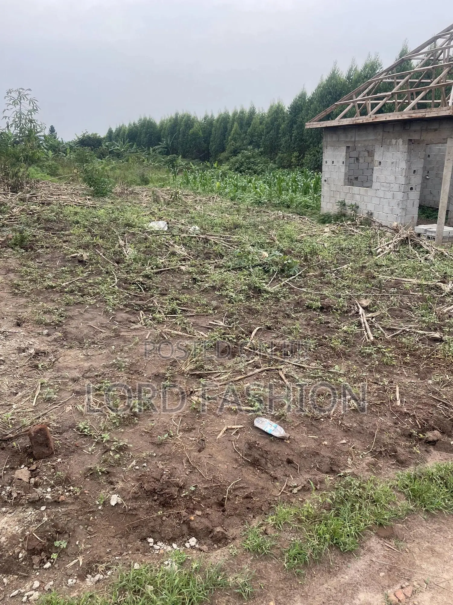 Plot 50 by 50 at Kakiri