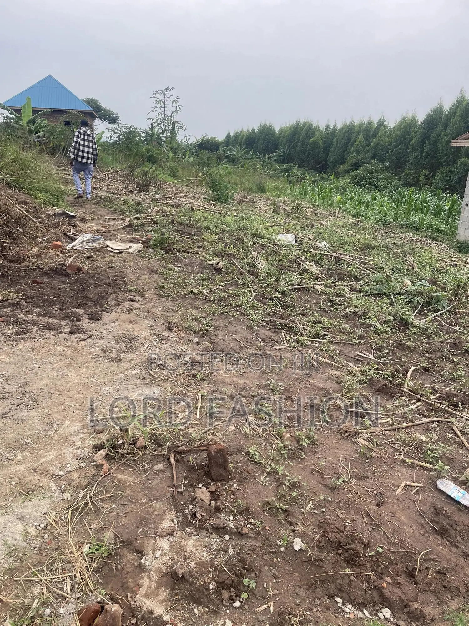 Plot 50 by 50 at Kakiri
