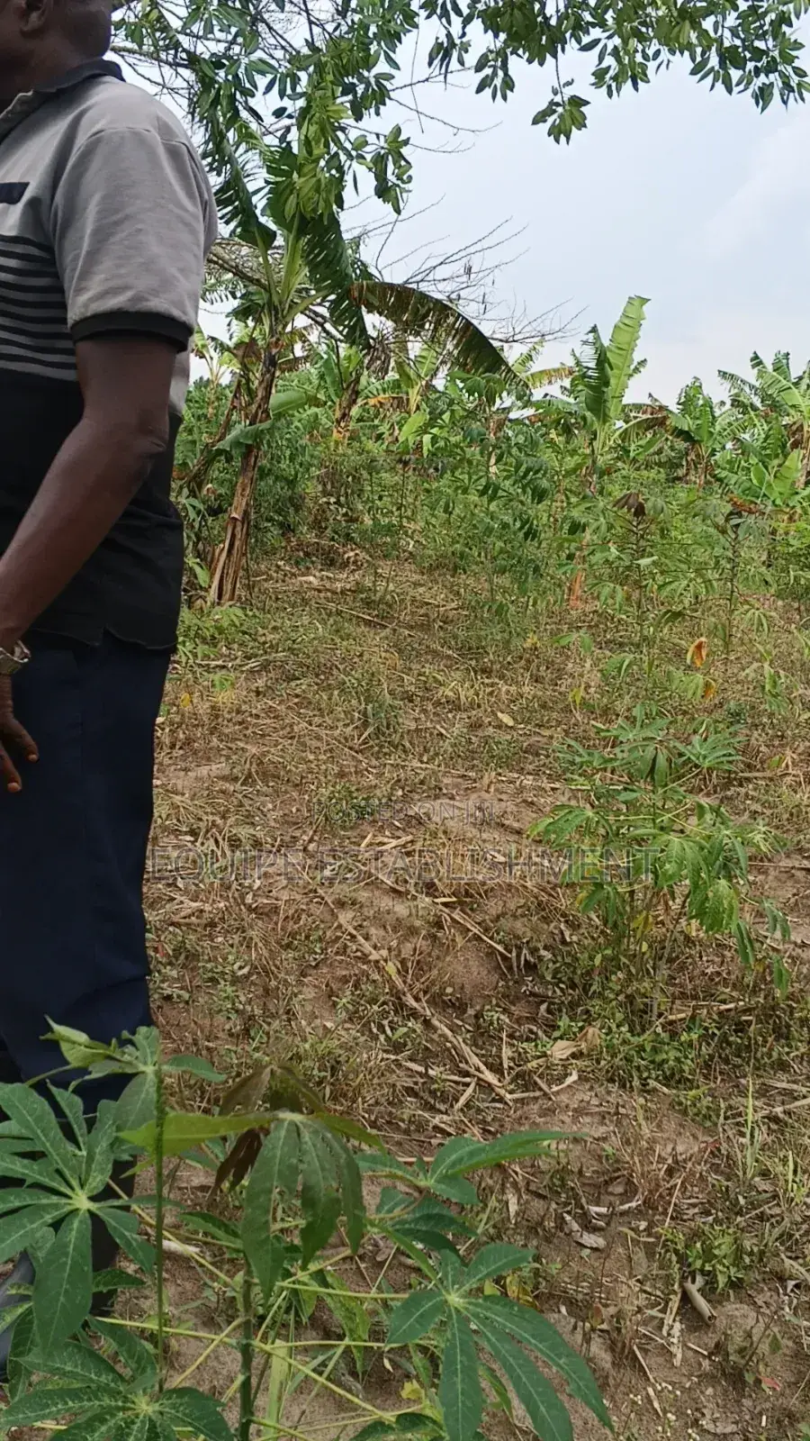 Plot Available Namalri Mukono Kayunga Road