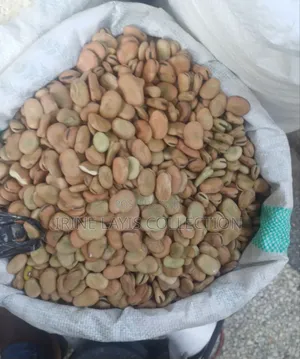 Fava/ Broa Beans