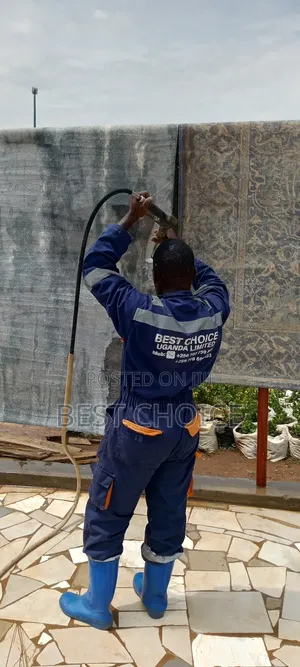Carpet Cleaning Services for Clean and Cozy Carpets