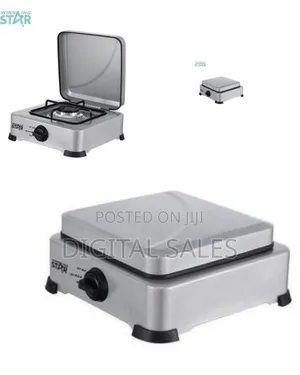 Winningstar Metallic Gas Stove