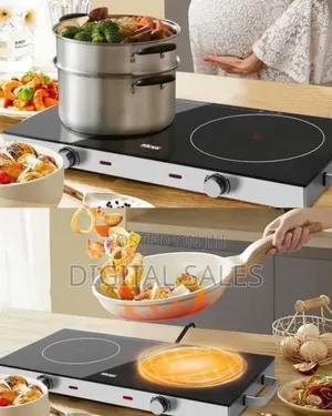 High Power Double Burner Electric