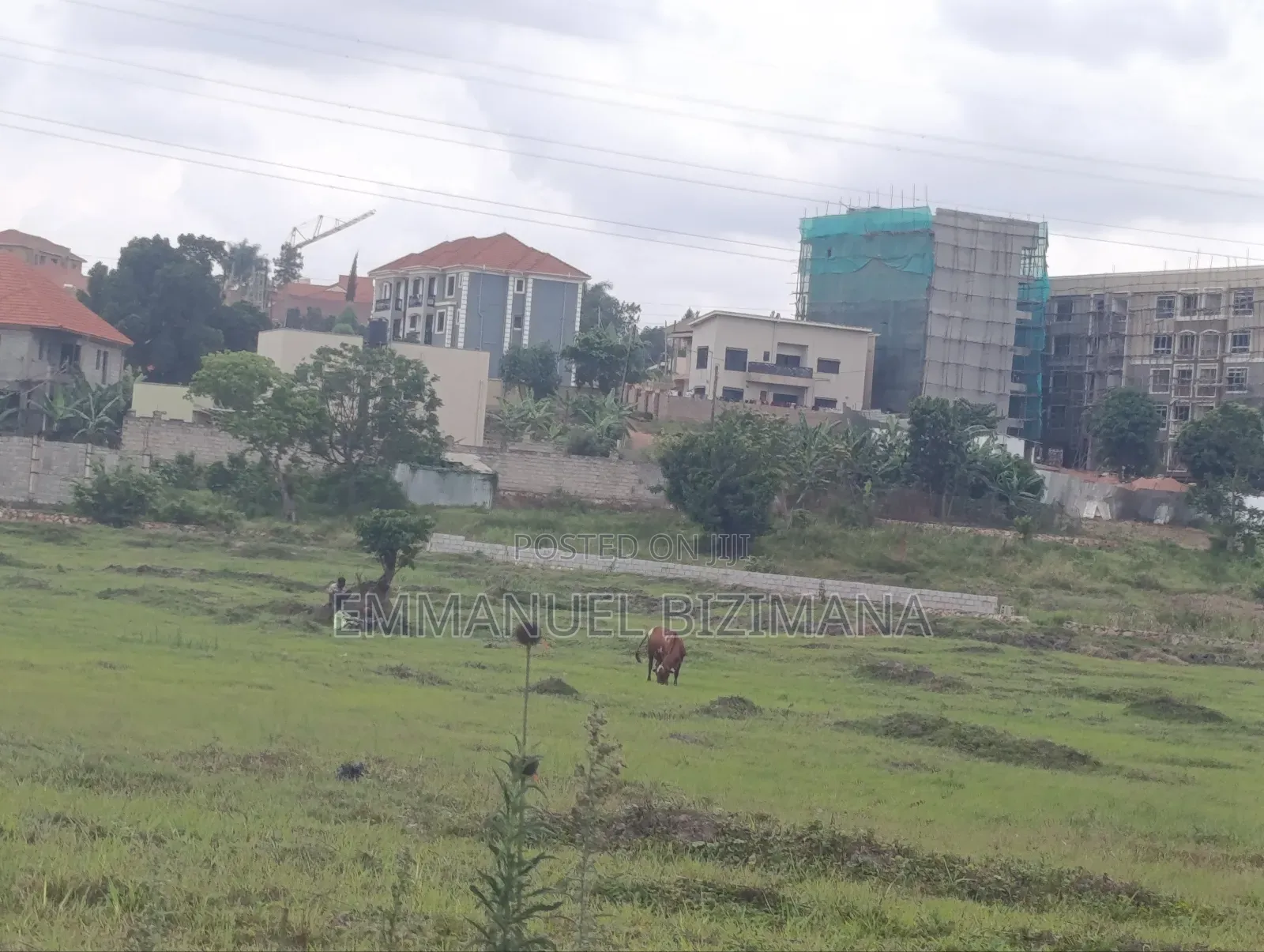 Plot for Sale