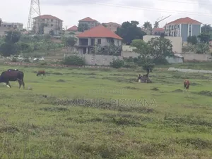 Plot for Sale