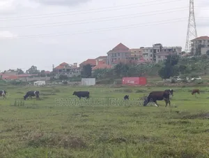 Plot for Sale