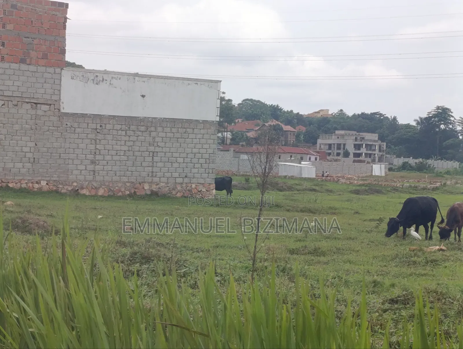 Plot for Sale