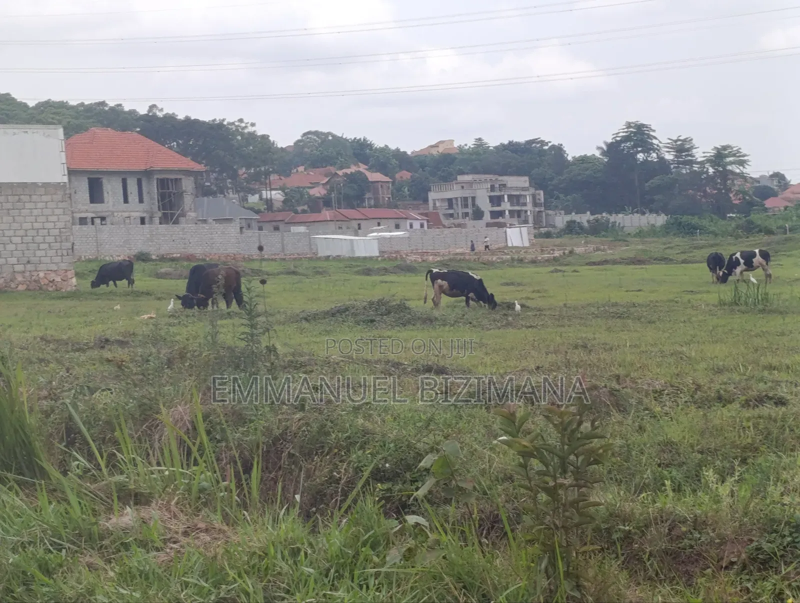 Plot for Sale