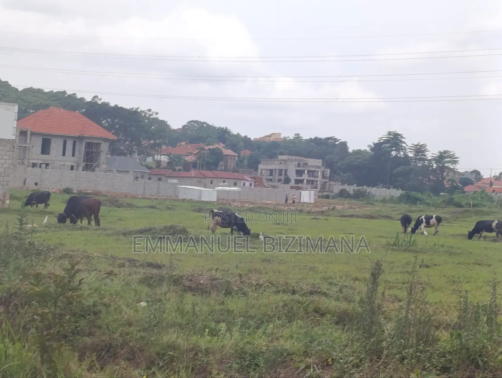 Plot for Sale