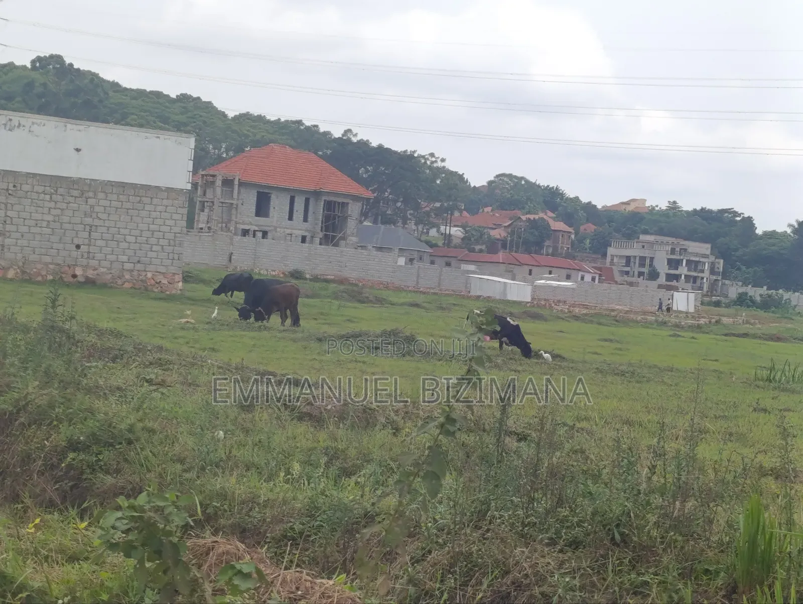Plot for Sale