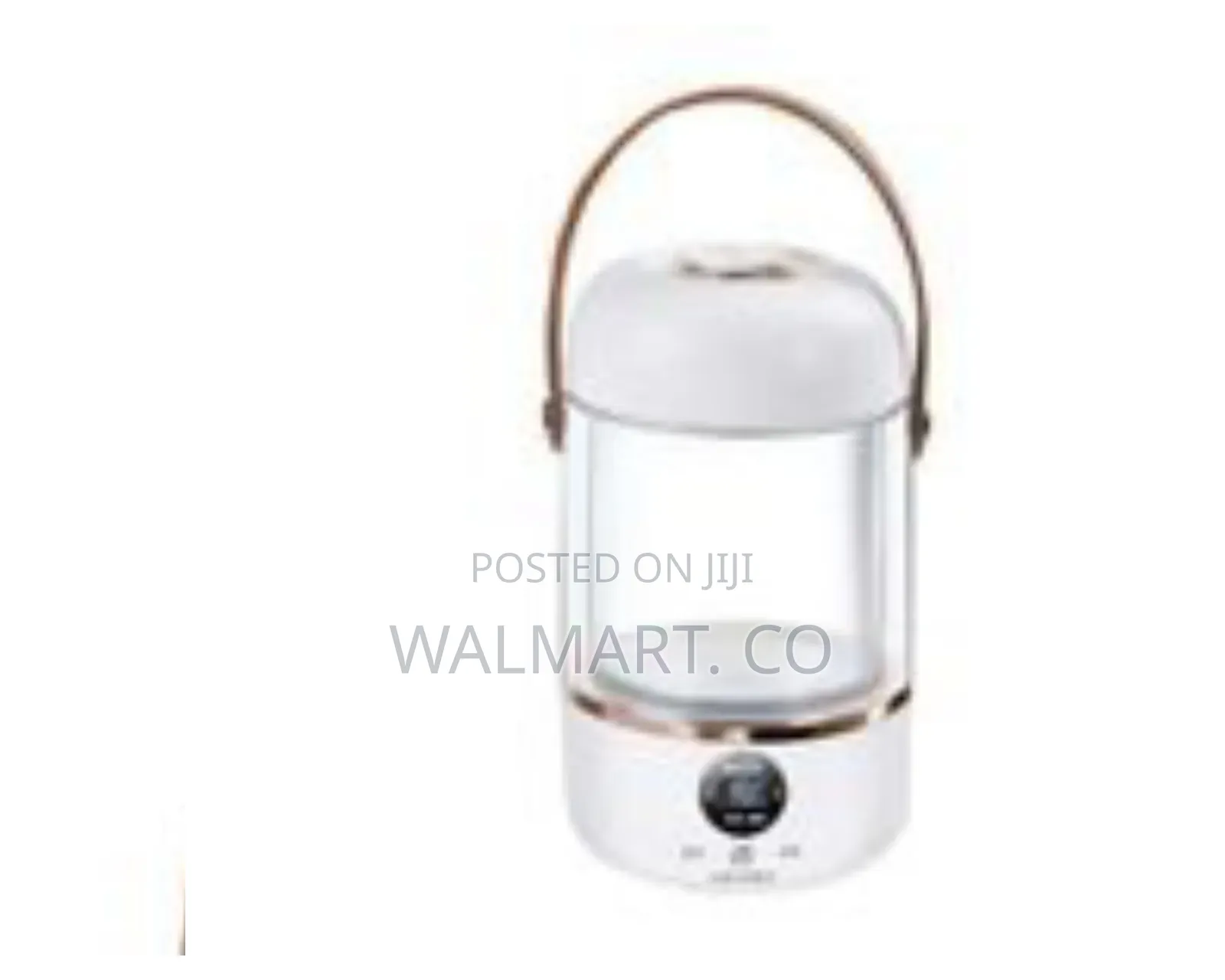 Multifunctional Smart Electric Stew Pot
