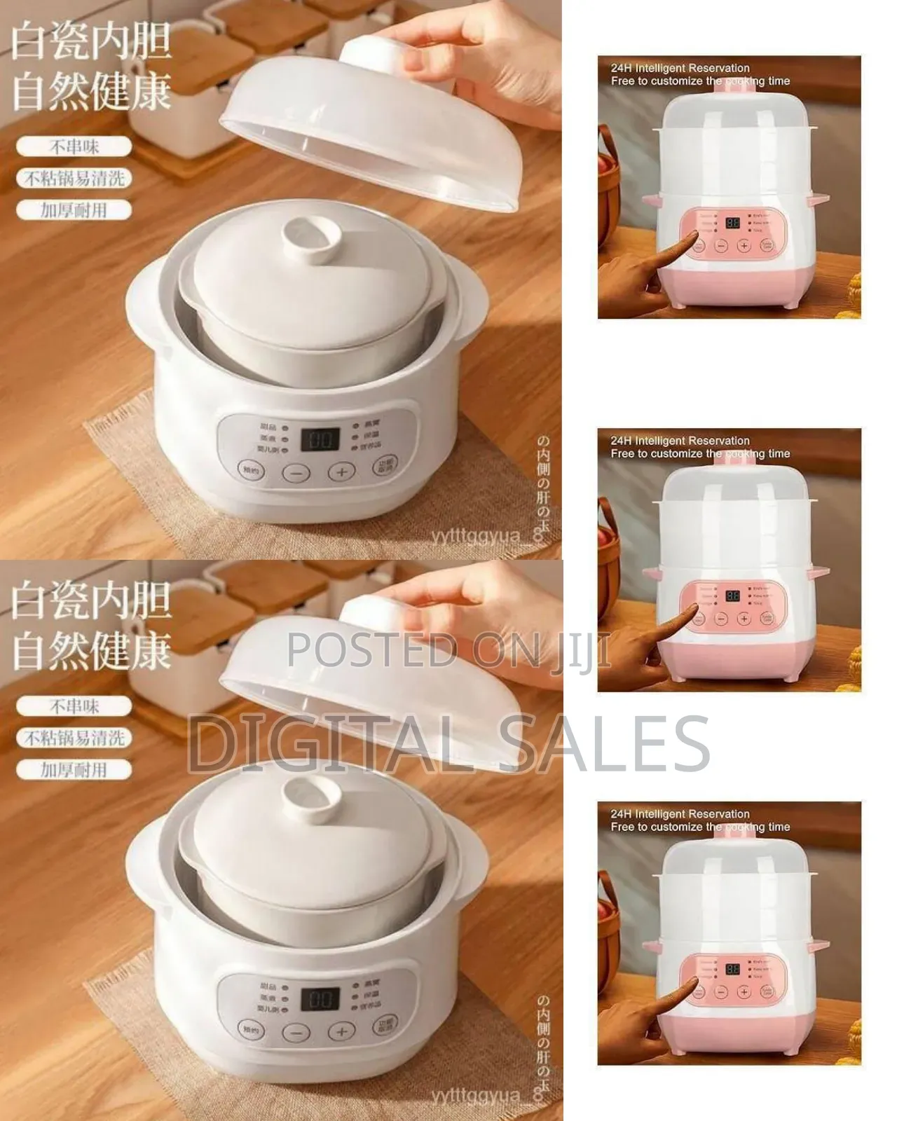Compact Versatile Digital Food Steamer