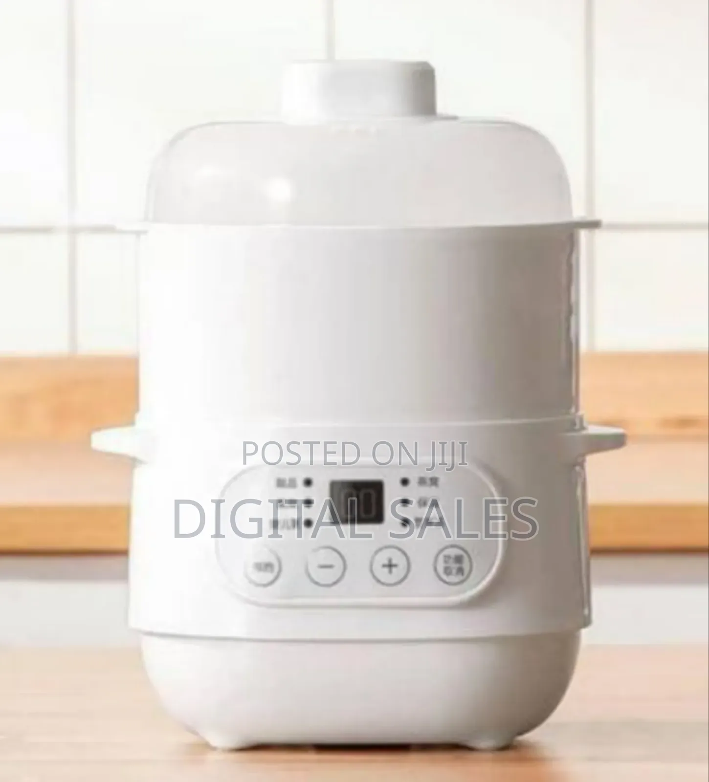 Compact Versatile Digital Food Steamer