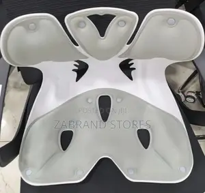 Ergonomic Lamber Plastic Chair