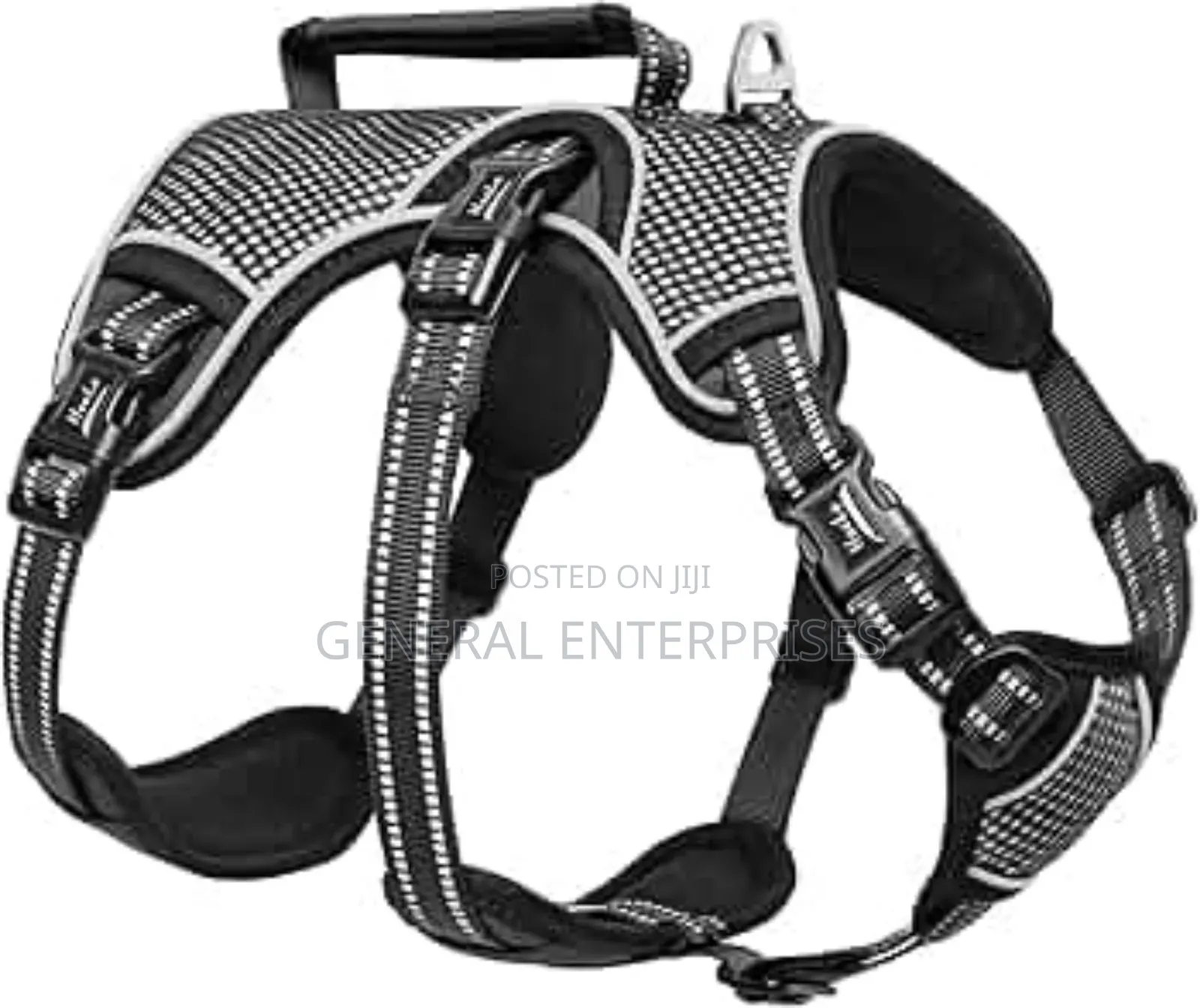 Pina Dog Harness Designed for Medium-Sized Dogs