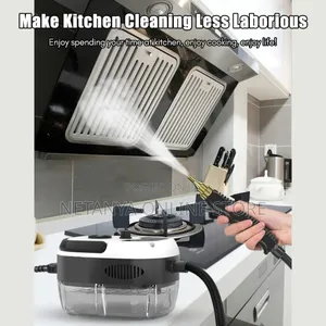 High Pressure New Steam Cleaner