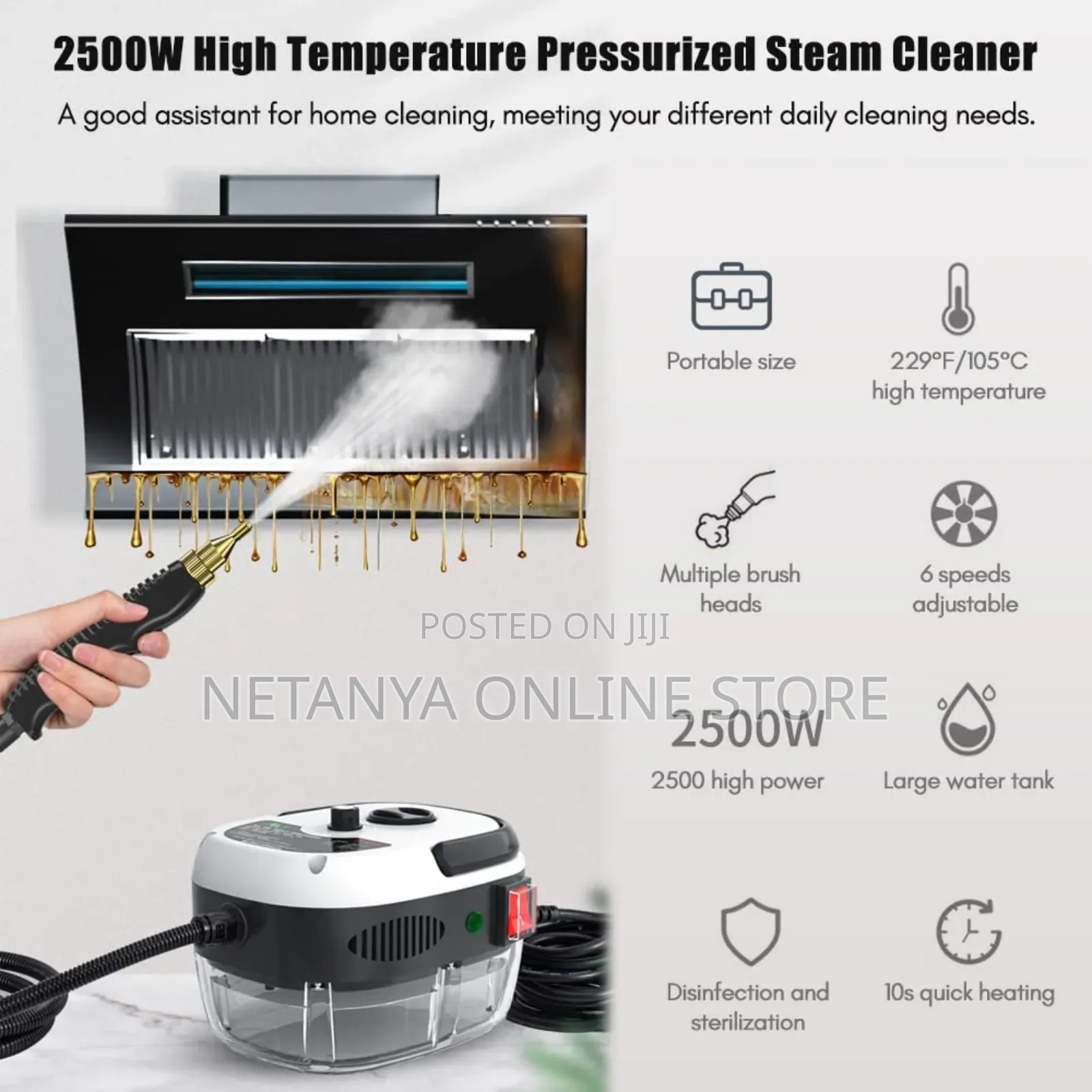 High Pressure New Steam Cleaner