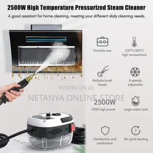 High Pressure New Steam Cleaner