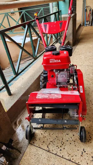Gasoline Walking Tractor/Tiller 8hp