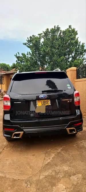 Car Hire Services