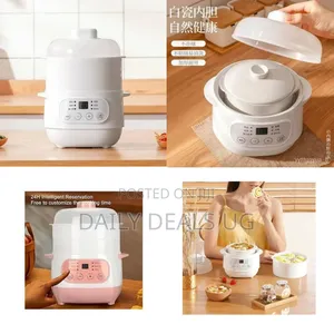 Compact Versatile Digital Food Steamer - Multicolor