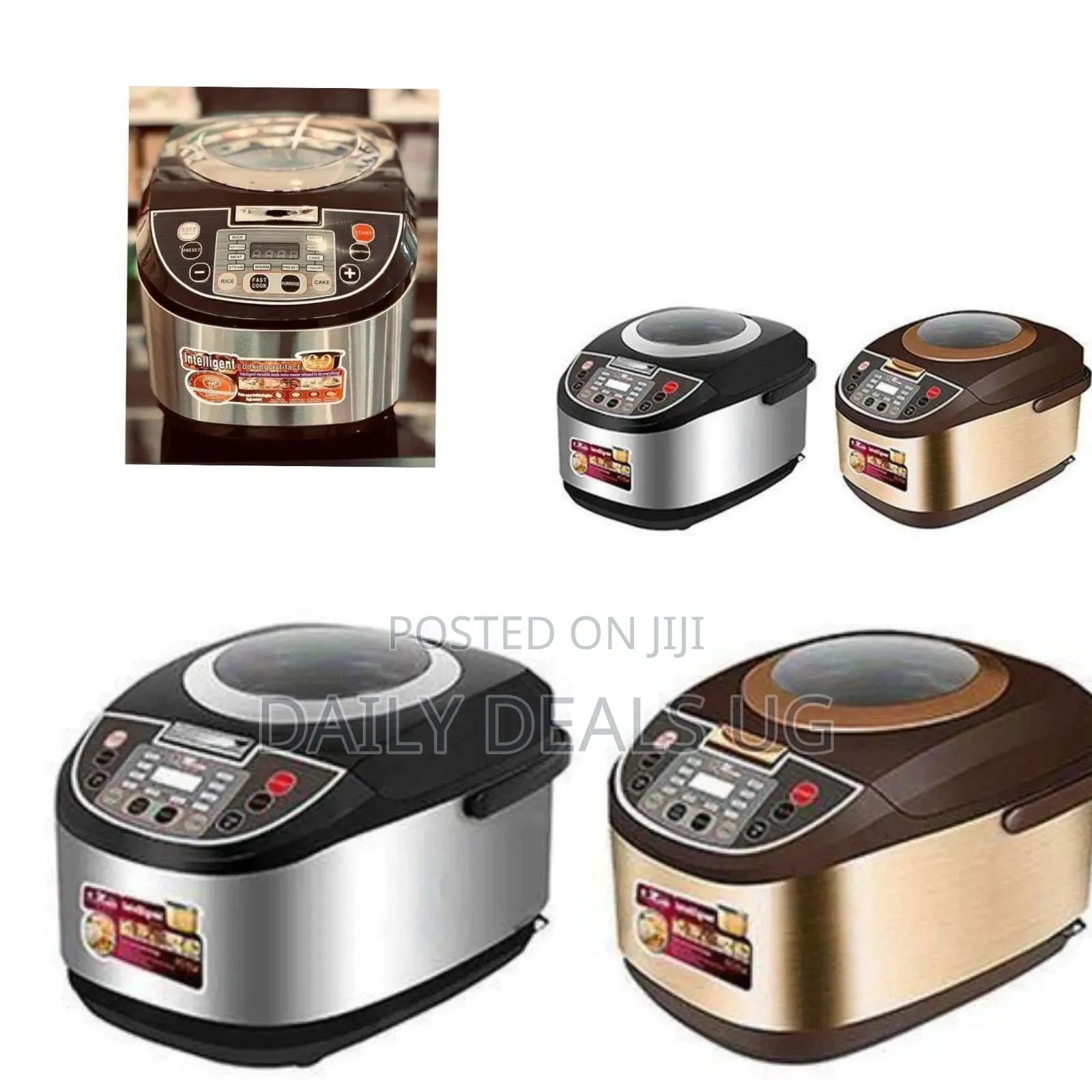 Electro Master Versatile Multi Cooker With Programmable Functions
