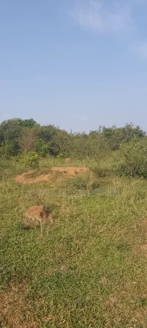 50 Acres Of Land For Sale In Bukomero Kiboga 15m Each
