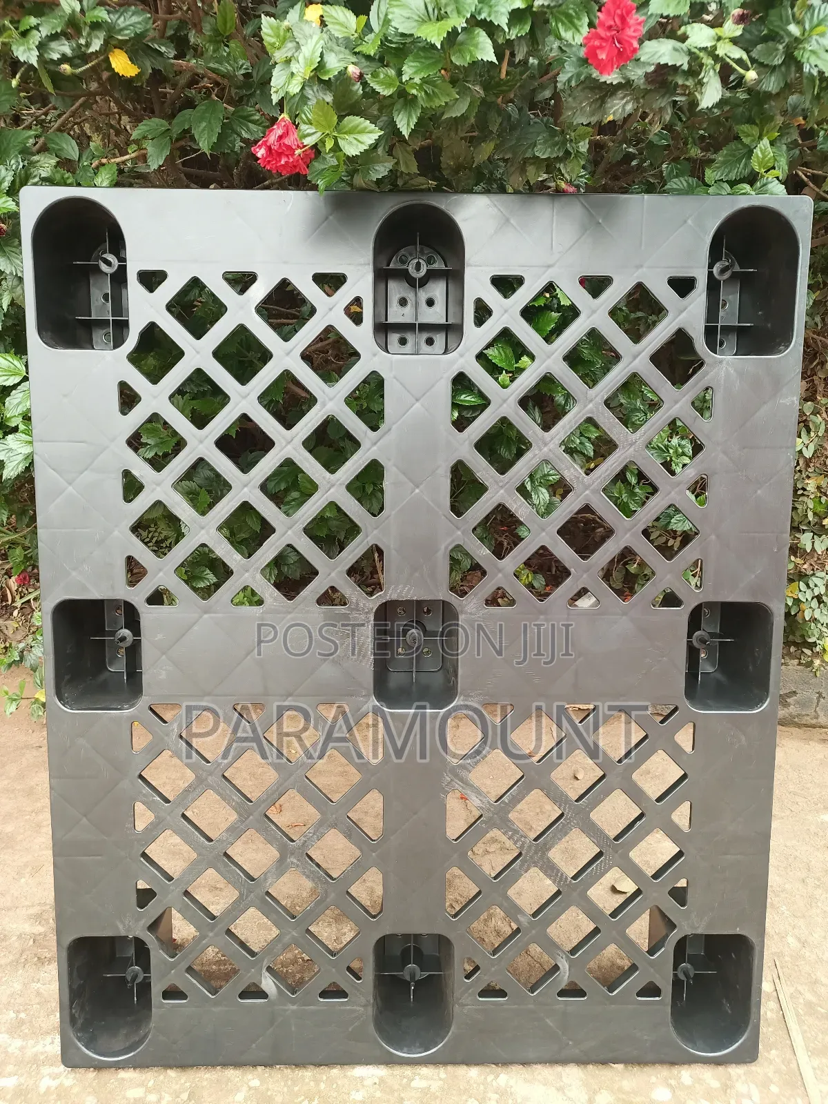 Plastic Pallets (120cm X 100cm)