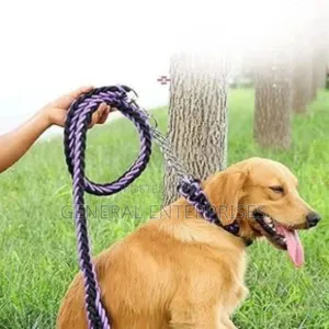 Generic Nylon Braided Dog Leash and Collar Set