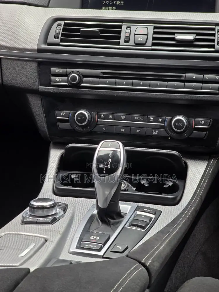 BMW 5 Series 2013 Silver