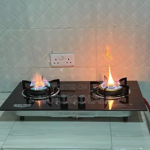 Happy Home Double Inbuilt Hob Gas Stove With Auto Ignition