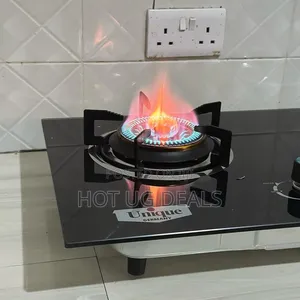 Happy Home Double Inbuilt Hob Gas Stove With Auto Ignition