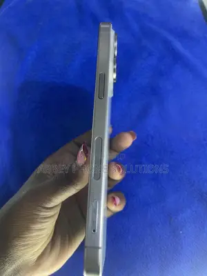 Apple iPhone 15 Pro Max 256 GB