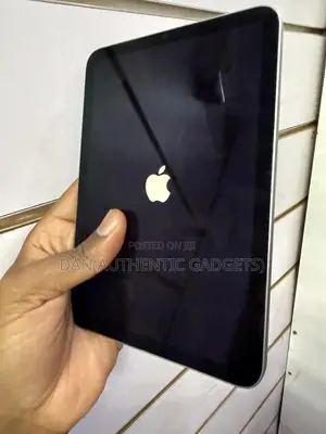 Apple iPad mini (2024) 256 GB Gray