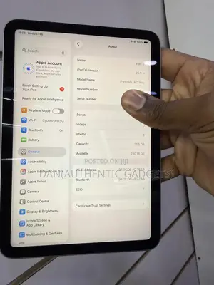 Apple iPad mini (2024) 256 GB Gray