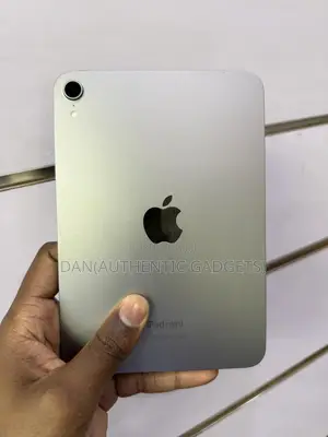 Apple iPad mini (2024) 256 GB Gray